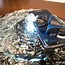 Image result for Waterproof Samsung Galaxy S7 Phone
