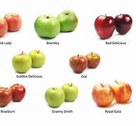 Image result for Apple Brands Fruit