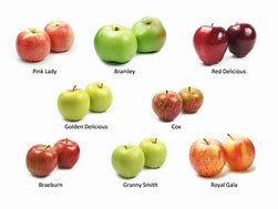 Image result for Types of Apple's List