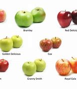 Image result for Common Types of Apple Australia