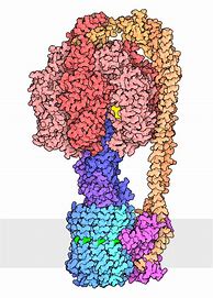 Image result for ATP Molecular Structure