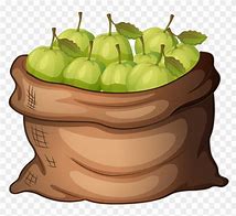 Image result for Clip Art Image of a Bag of Apple's