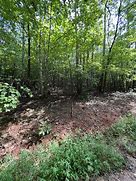 Image result for 7509 sawmill rd dublin