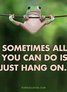 Image result for Hilarious Hang in There Meme