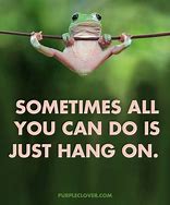 Image result for Hang in There Nursing Meme