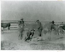 Image result for Cattle Rustler Gilbert Early 20 Century