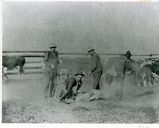 Image result for Cattle Rustler Hanging Dreamstime