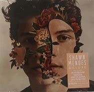 Image result for Shawn Mendes Album Cover