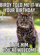 Image result for Funny Birthday Meme About Memes