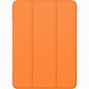 Image result for iPad Pro 11 Inch Protective Case