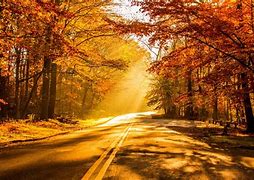 Image result for Mobile Wallpaper 4K Autumn