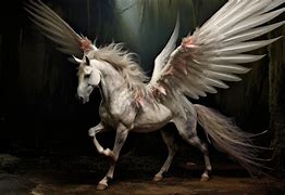Image result for Wide Unicorn
