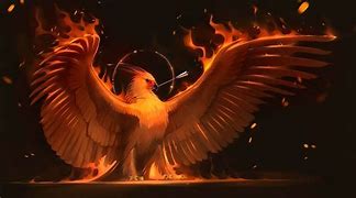 Image result for Ave Fenix Historia