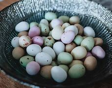 Image result for Bunch of Eggs