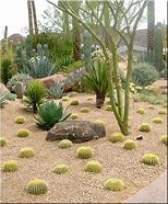 Image result for Desert Landscape Design