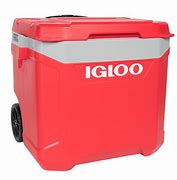 Image result for igloo coolers with wheeled