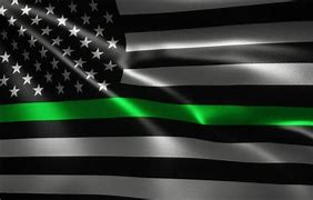 Image result for Seafoam Green American Flag