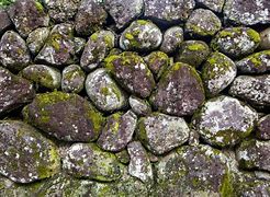 Image result for Moss-Covered Rocks Background