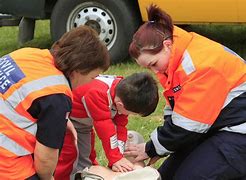 Image result for Animal CPR
