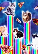 Image result for Funny Galaxy Cat Food