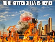 Image result for Godzilla Cat Meme