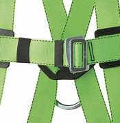 Image result for Fall Protection Harness Hook