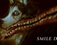 Image result for Smile Dog Lore