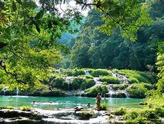 Image result for Logging in Alta Verapaz Guatemala