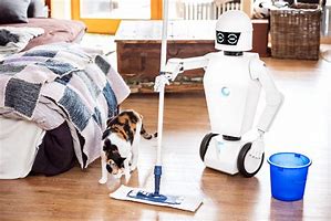 Image result for Future House Robot