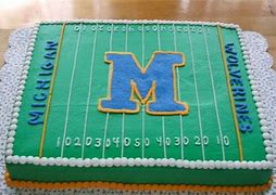 Image result for Michigan Wolverines Football