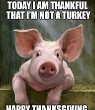 Image result for Have a Happy Thanksgiving Funny