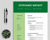 Image result for Professional Executive Resume Template