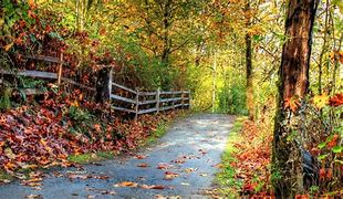Image result for Best Wallpaper PC for Natural 1920X1080 Full HD