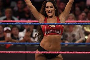 Image result for WWE Nikki Bella