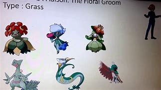 Image result for Fan Made Elite Four