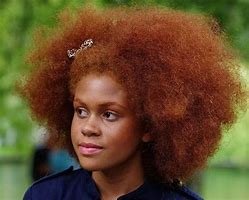 Image result for Dark Red Hair Color Black Women