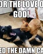 Image result for Viral Cat Meme