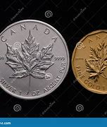 Image result for Gold Maple Leaf vs Silver Maple Leaf
