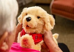 Image result for Robotic Companion Pets