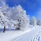 Image result for Fire HD 10 Tablet Wallpaper Winter