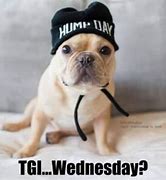 Image result for Busy Wednesday Meme
