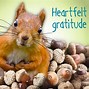 Image result for Thank You Squirrel Meme