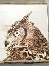 Image result for Owl Wood-Burning