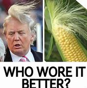 Image result for Funny Memes About Politics