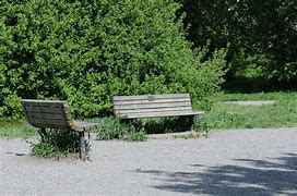 Image result for Man Sitting On Bench with Dog Meme