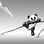 Image result for Cute Panda Couple Wallpaper