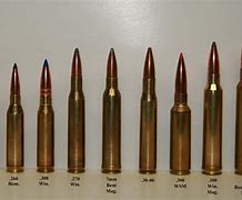 Image result for 223 vs 308 Ammo Size