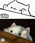 Image result for APU Bongo Cat Meme