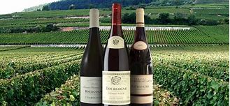 Image result for Best Wines From France