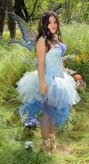 Image result for Blue Fairy Dress